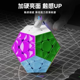 SengSo YUFENG Magnetic Megaminx Speed Cube Stickerless SengSo YUFENG Magnetic Megaminx Speed Cube Stickerless