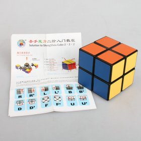 ShengShou 2x2x2 50mm Magic Cube ShengShou 2x2x2 50mm Magic Cube