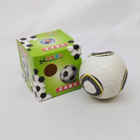 Shengshou 2X2 Football Cube Shengshou 2X2 Football Cube